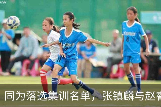 同为落选集训名单，张镇麟与赵睿的境遇差异何在？
